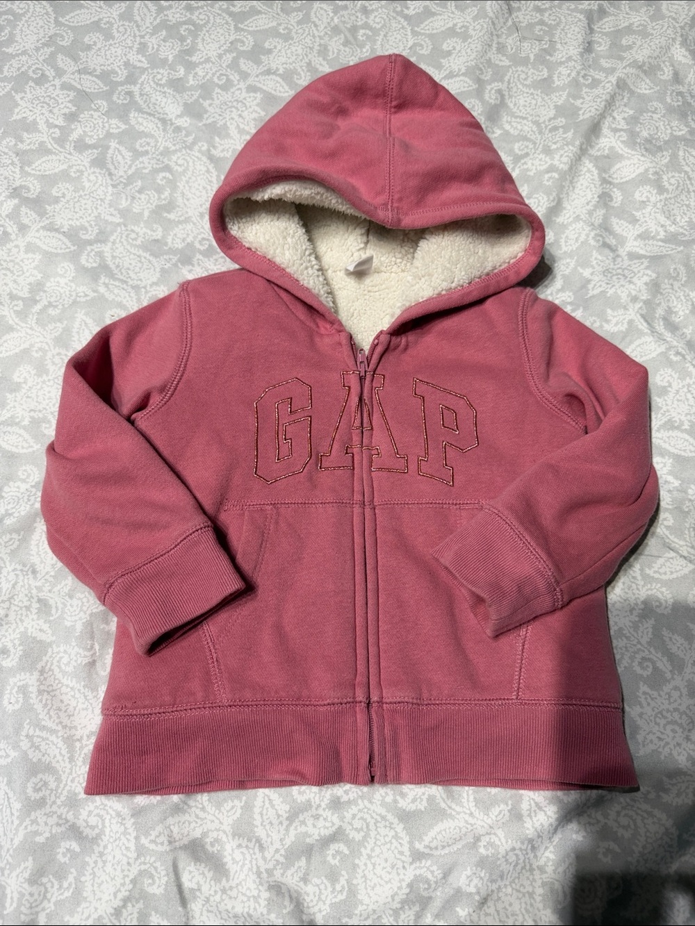 BabyGAP Hooded Sweatshirt